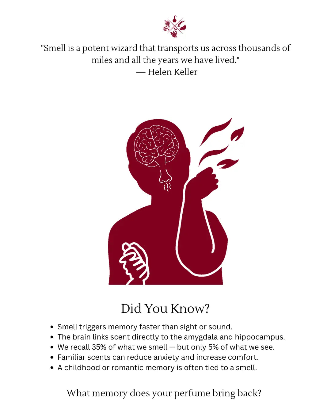 The Science of Scent & Memory: Why We Never Forget a Smell - KATRA
