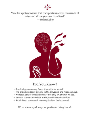 The Science of Scent & Memory: Why We Never Forget a Smell - KATRA